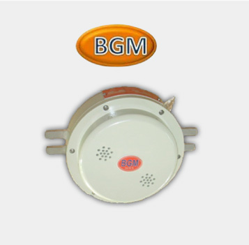 BGM
